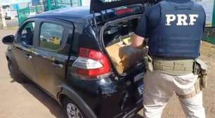 PRF apreende 115 kg de maconha em São Lourenço do Oeste com destino ao RS