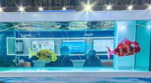 Carpa biônica é segredo da marinha chinesa para saber as condições do mar - e quem sabe as dos inimigos