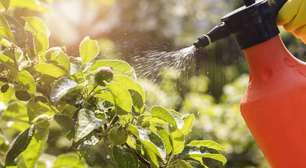 Estudos investigam possível ligação entre pesticidas e aumento de câncer intestinal em pessoas com menos de 50 anos