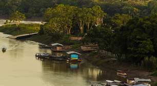 Corrida do ouro na floresta amazônica revela algo muito incômodo para o Peru: país perdeu o controle de seu território