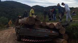 Carga de eucalipto despenca sobre trabalhadores e homem morre no Norte do RS