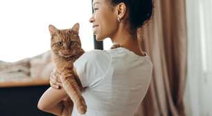 Pessoas que têm gatos são mais solitárias? O que a psicologia revela sobre isso