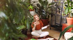 7 dicas de Feng Shui para harmonizar a casa no outono