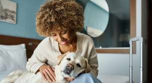 Cachorros: como o animal escolhe quem é a sua pessoa favorita dentro de casa