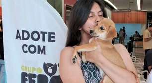 Patteo Urupema Shopping promove novo evento de adoção de cães e gatos neste sábado