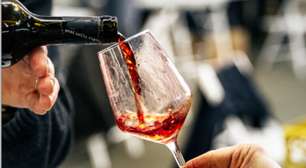Itália leva cerca de 300 rótulos de vinhos a Wine South America