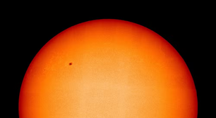 Hormônio do sol e DNA: como a vitamina D regula genes e pode ajudar na longevidade e saúde celular segundo a ciência