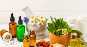 Plantas medicinais e fitoterápicos: veja os benefícios para a saúde