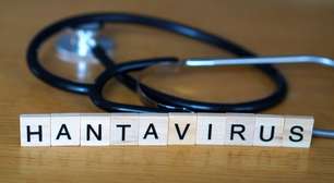 Hantavírus: infecção pode provocar impactos além do sistema respiratório