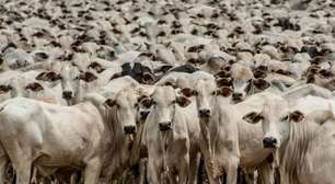 União Europeia exclui Brasil de lista de exportadores de carne; saiba detalhes