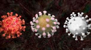 Entenda a diferença entre endemia, epidemia e pandemia