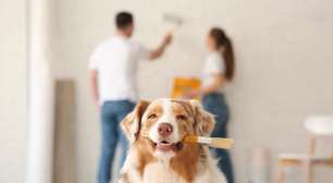 7 mudanças simples no quarto que ajudam a melhorar a qualidade do sono