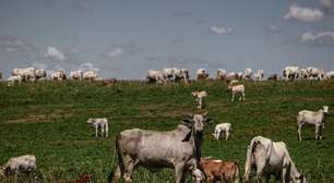 União Europeia veta carne brasileira, mas tenta abrir diálogo
