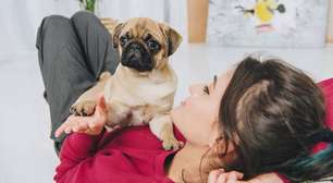 Acariciar um cão reduz pressão arterial? Ciência explica como a oxitocina acalma humanos e animais em segundos