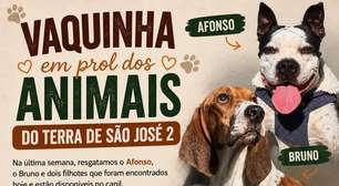 A luta de Bruno e dos filhotes resgatados do Terra de São José 2