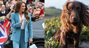 O truque de Kate Middleton para educar seu novo pet; descubra