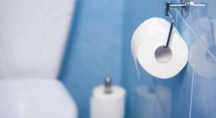 Por que o papel higiênico é branco? A ciência da celulose, higiene e branqueamento industrial