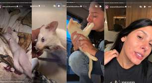 Eita! Ana Castela foi brincar com gatinho e acabou tendo reação alérgica