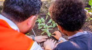 Enfermeiros de Hospital de Porto Alegre plantam horta comunitária no bairro Rubem Berta