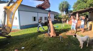 Com retroescavadeira, Corpo de Bombeiros salva vaca que caiu em fossa em MS; veja