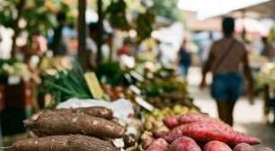 Macaxeira ou batata-doce? Descubra qual raiz do Nordeste vence o duelo da nutrição
