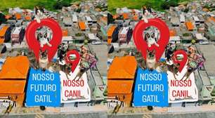 Casa do Vira-Lata: A união que pode salvar mais de 90 vidas
