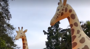 Girafa de 5 metros, 6 mil doces: veja como foi a festa da filha de Ludmilla