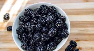 Rica em antioxidantes: conheça os benefícios da amora para a saúde