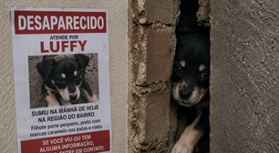 Eles procuraram o filhote de cachorro desaparecido por todo o bairro: até que um choro abafado revelou que o animal estava no lugar mais improvável possível