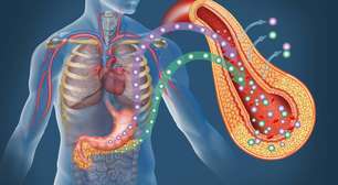 A engenharia da liberdade: o pâncreas artificial e a nova era do diabetes