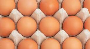 Superalimento no prato: como o consumo de ovos melhora a massa muscular, a memória e protege a saúde ocular