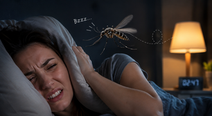 O que significa o zumbido irritante dos mosquitos e por que eles gostam de rondar na sua orelha enquanto você dorme?