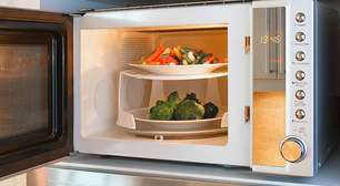 Ondas, dipolos e calor: como o micro-ondas cozinha os alimentos e por que o prato às vezes esquenta mais que a comida