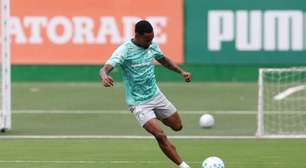 Allan analisa sequência invicta do Palmeiras no ano: "Sabemos o grupo que temos"