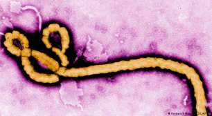 Há risco de o surto de ebola chegar ao Brasil?