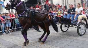 Entrada dos Palmitos abre inscrições para cavaleiros, muladeiros, charreteiros e carroceiros em Mogi