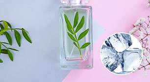 Foco no treino com perfumes frescos que não incomodam na academia