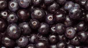 Pelo bem da sua família, mude a dieta hoje mesmo: especialistas descobriram que o açaí é um tesouro para salvar o cérebro dos jovens e reduzir ansiedade e depressão