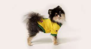 Seu cãozinho foi convocado? Veja nomes de jogadores mais comuns para pets