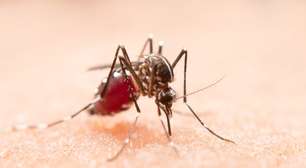 RS confirma segunda morte por dengue em 2026