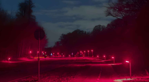 Dinamarca troca cor de iluminação nas ruas para proteger espécies de morcegos