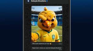 CBF lança canal oficial no WhatsApp para se aproximar de torcedores