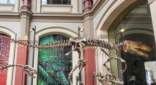 Você foi enganado a vida inteira: os fósseis que você vê no museu não são de verdade
