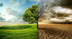 Desertificação avança em diferentes regiões do planeta e preocupa especialistas pelos impactos sobre água, agricultura e população