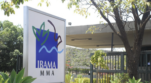 Câmara aprova projeto para limitar o poder de fiscalização do Ibama
