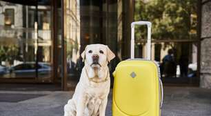 Quem fica com o pet? Nova lei muda regras em casos de separação