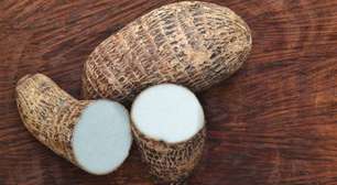 Adeus, creme de leite? Inhame ganha espaço nas receitas cremosas