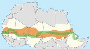 Como 11 países africanos se uniram para criar uma muralha verde de 8 mil quilômetros contra o avanço do Deserto do Saara