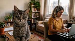 5 atitudes do seu gato que podem indicar carência emocional (e como ajudar)