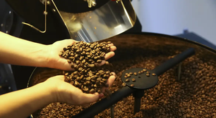 Salário de colhedor de café surpreende e pode chegar a R$ 20 mil